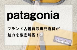 patagoniaというブランドの魅力と中古相場｜パタゴニア