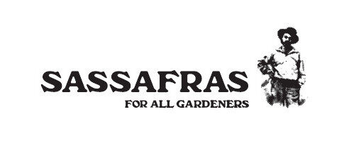 SASSAFRASってどんなブランド？｜ササフラス