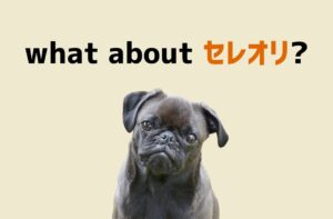 セレオリってダサい？ちゃんとした“ブランド